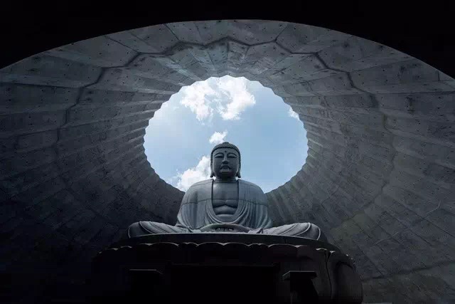 神圣的佛竟淹沒于薰衣草的花海中，安藤忠雄這次顛覆的不是設計而是信仰